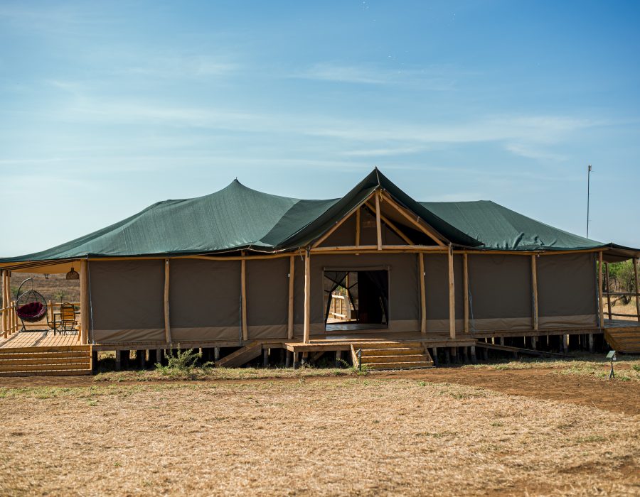 Serengeti Camping Safety Tips: What Every Traveler Should Know