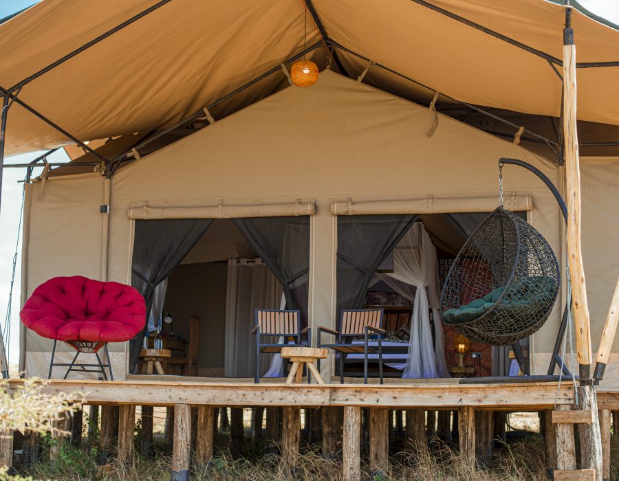 Sustainable Safari Camping: How Taste of Serengeti Protects the Land