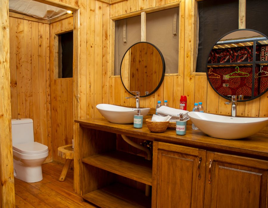 Birdwatching in the Serengeti: A Camper's Checklist